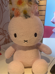 ほだか