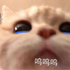 UserInfo-avatar