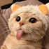 UserInfo-avatar