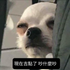 UserInfo-avatar