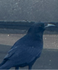 UserInfo-avatar