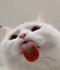 UserInfo-avatar