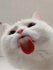 UserInfo-avatar