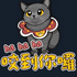 UserInfo-avatar