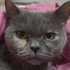 UserInfo-avatar