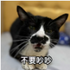 UserInfo-avatar