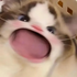UserInfo-avatar