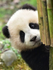 UserInfo-avatar